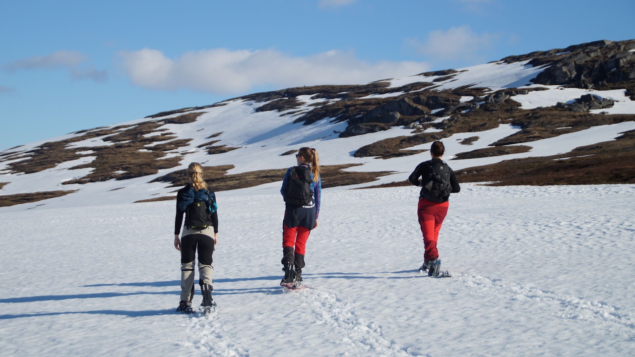 Photo of Others in Arjeplog