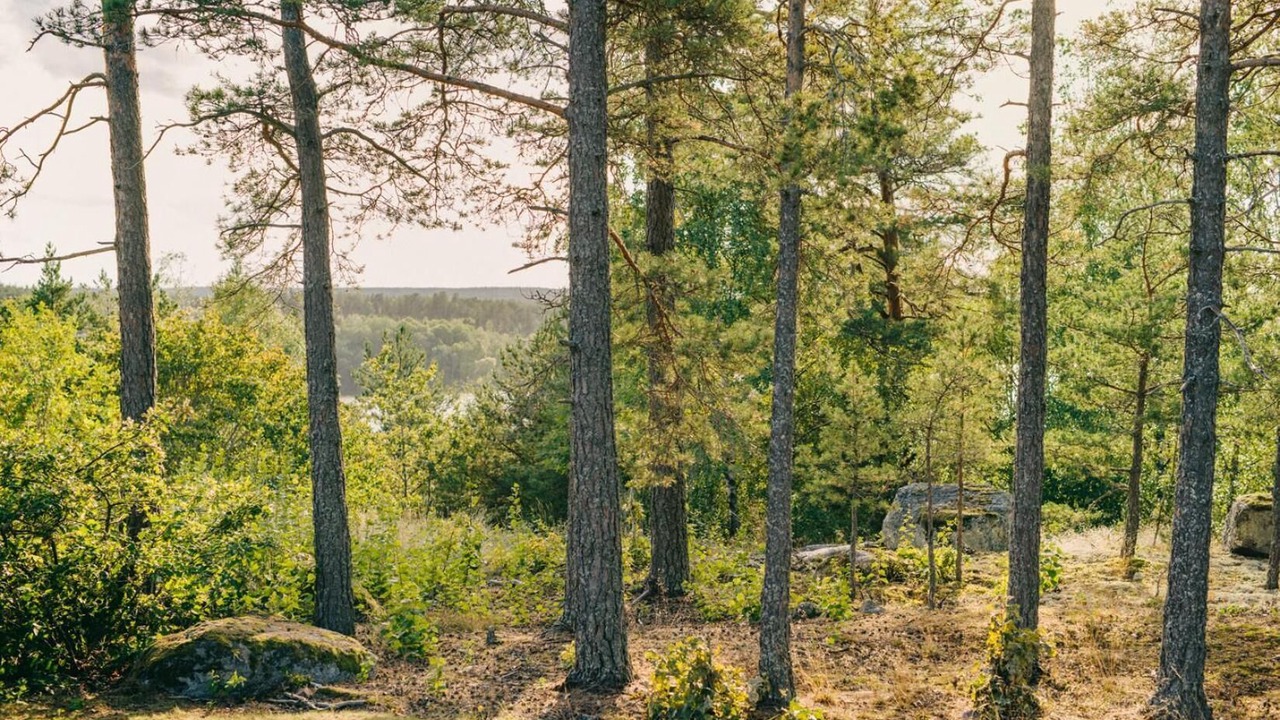 Photo of Outdoor in Sigtuna