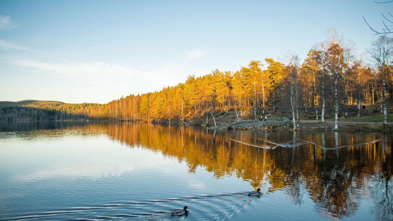 Photo of Outdoor in Sogn