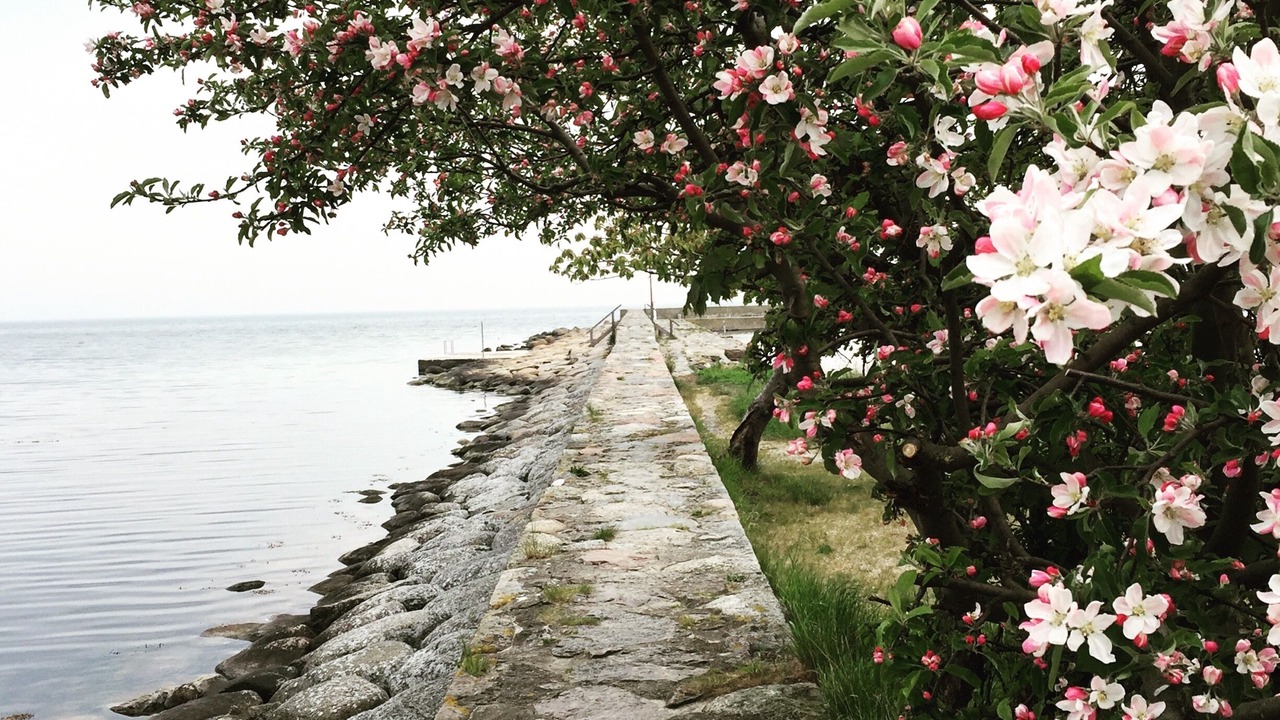 Photo of Outdoor in Kivik