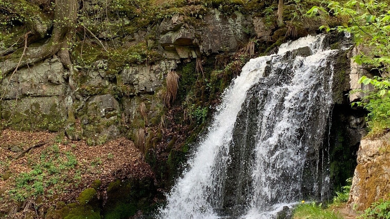 Photo of Outdoor in Kivik