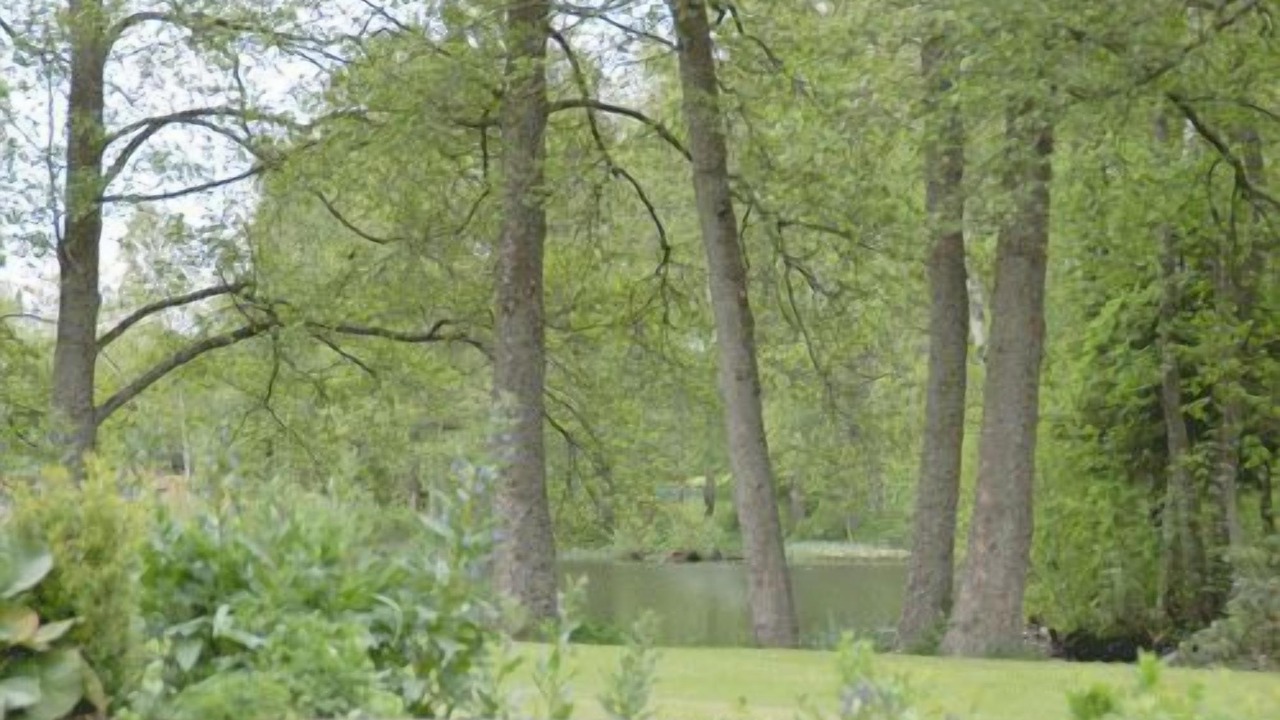 Photo of Outdoor in Ingelstad