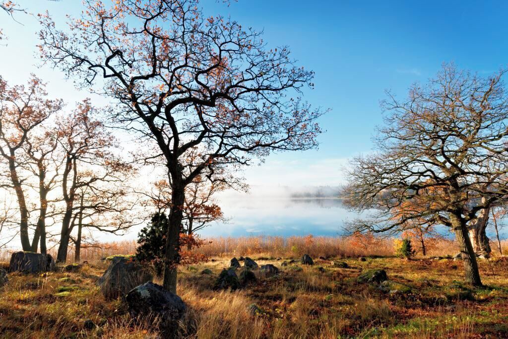 Photo of Outdoor in Bergendahl