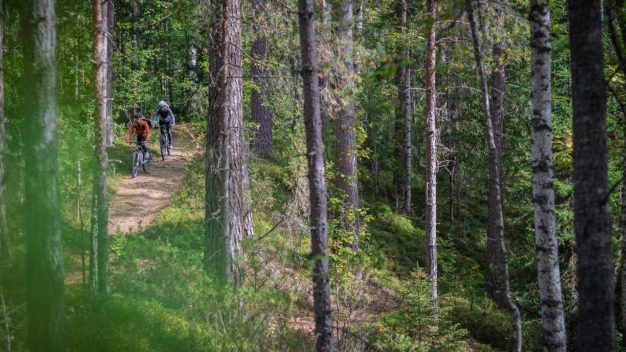 Photo of Outdoor in Salen