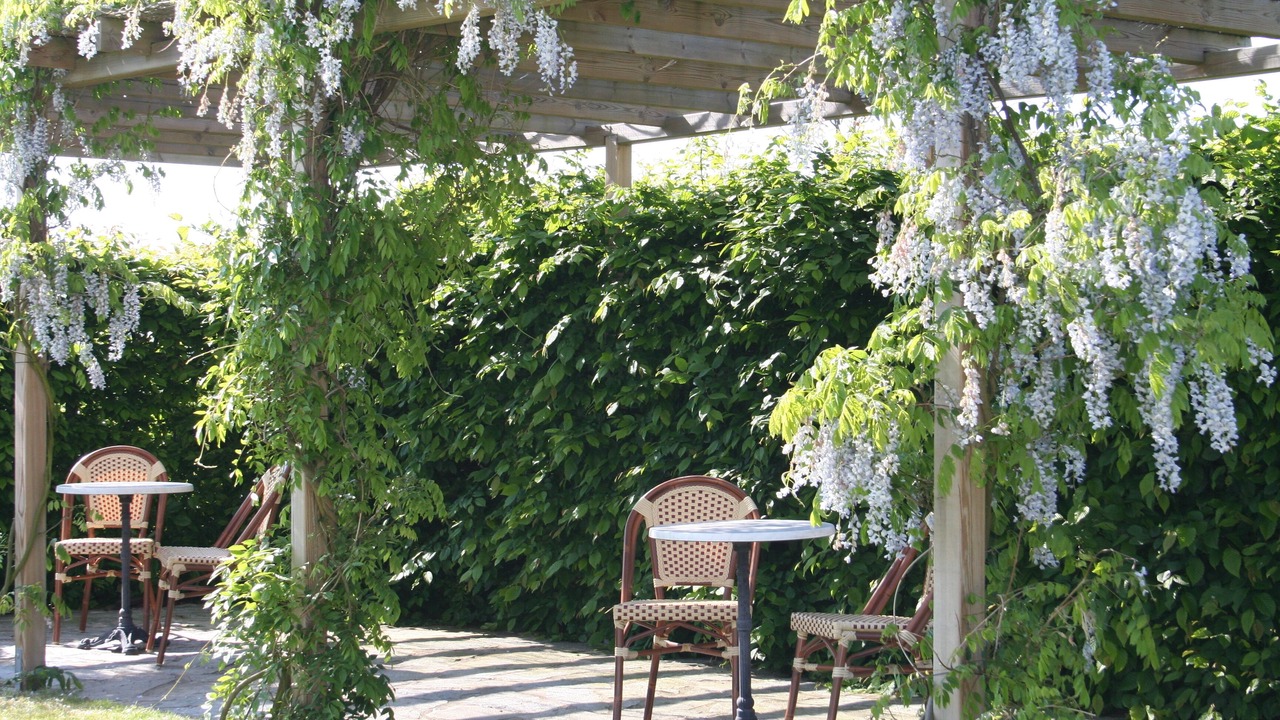 Photo of Outdoor in Borrby