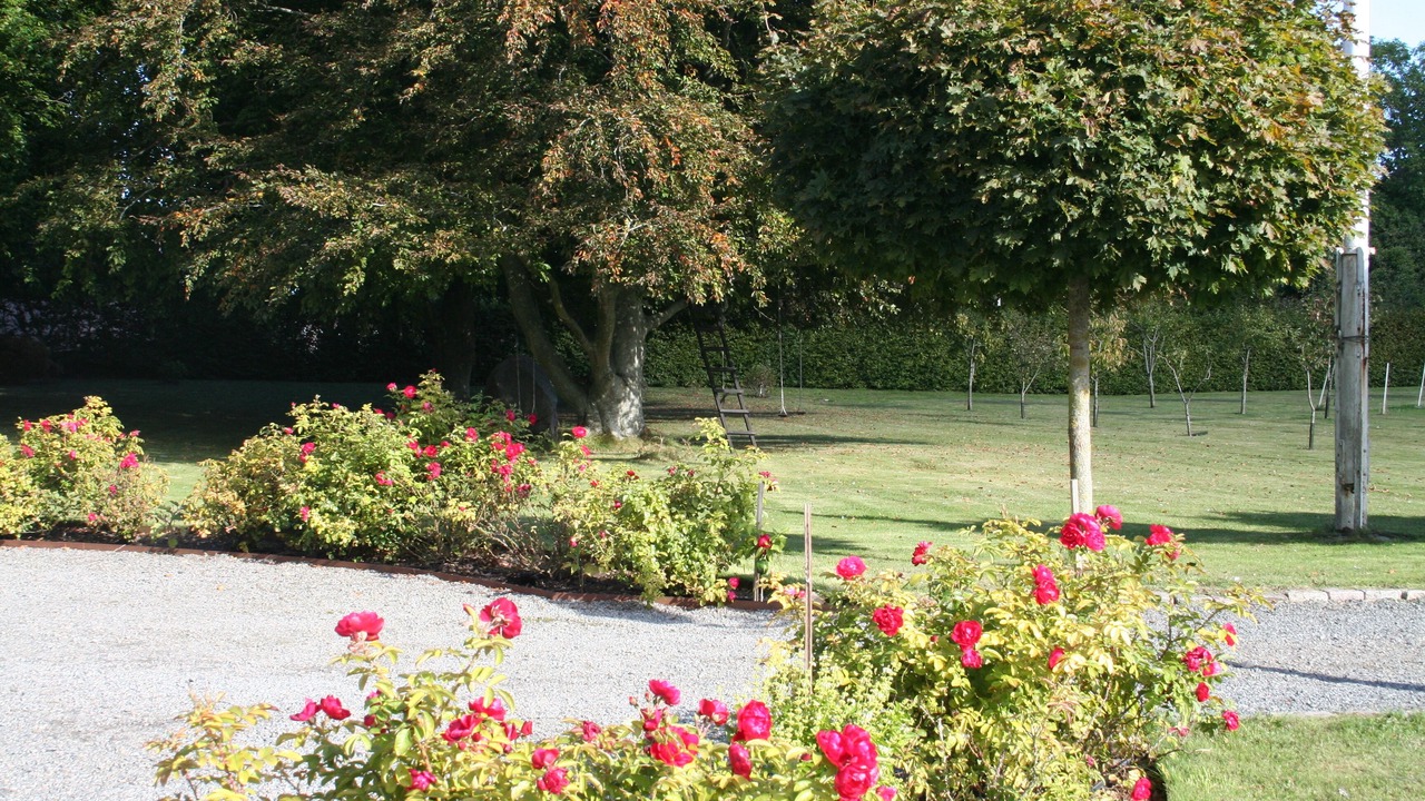 Photo of Outdoor in Borrby
