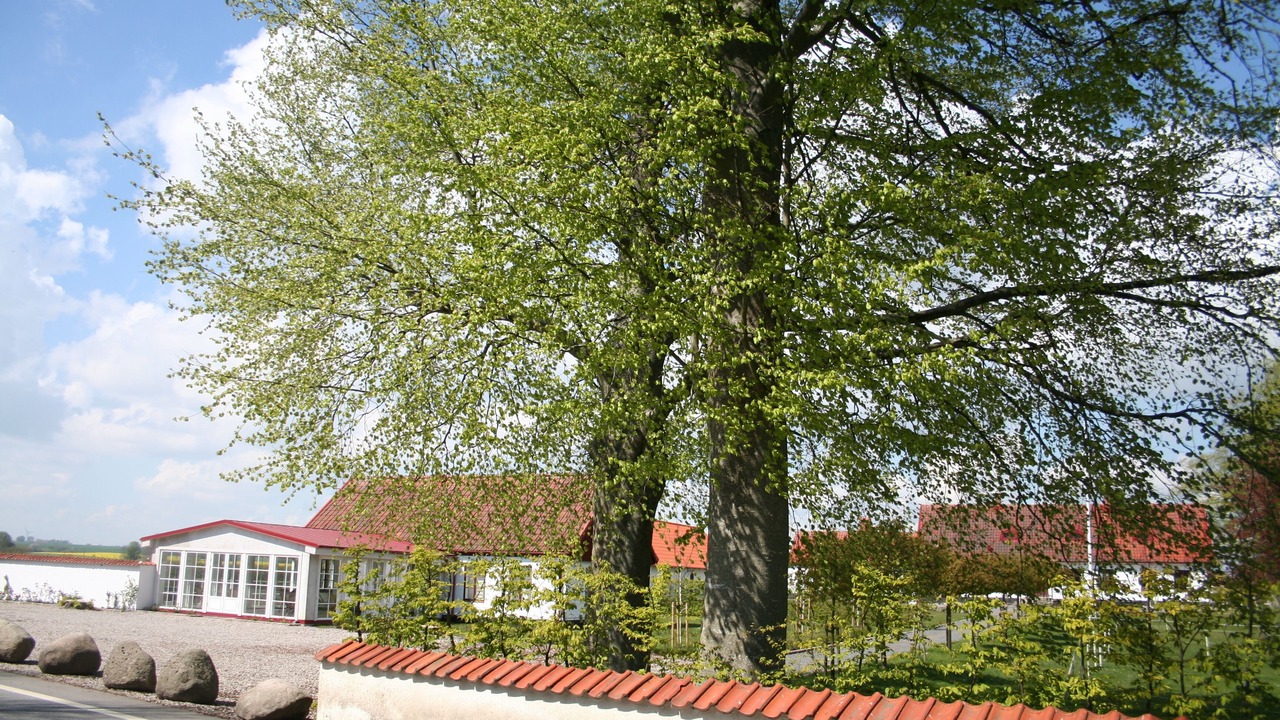 Photo of Others in Borrby