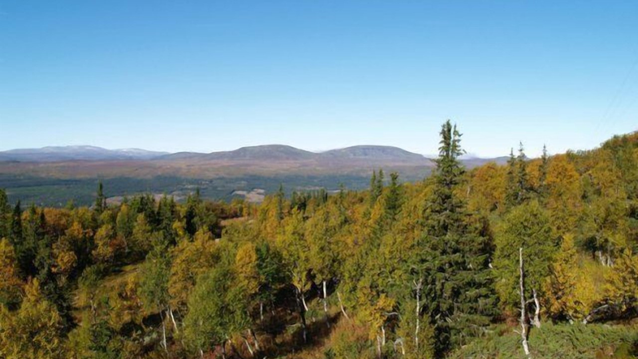 Photo of Others in Funasdalen