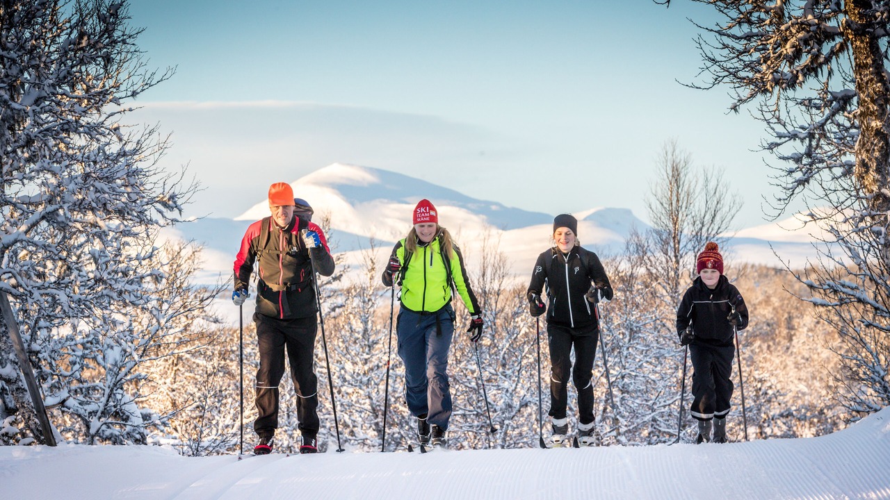 Photo of Others in Funasdalen
