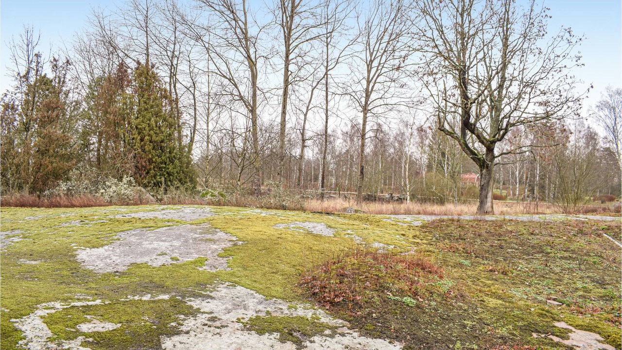 Photo of Outdoor in Vassmolosa