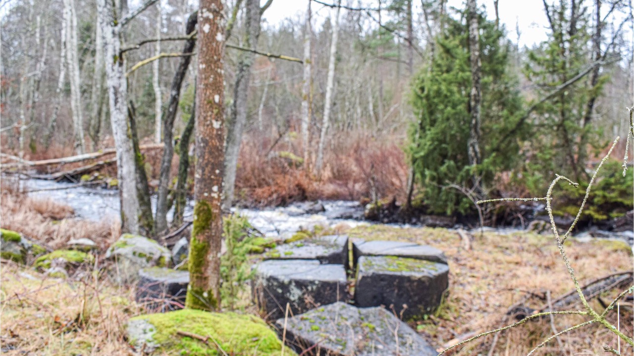 Photo of Outdoor in Vassmolosa