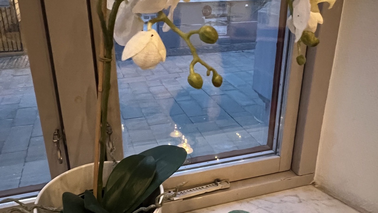 Photo of Others in Helsingborg