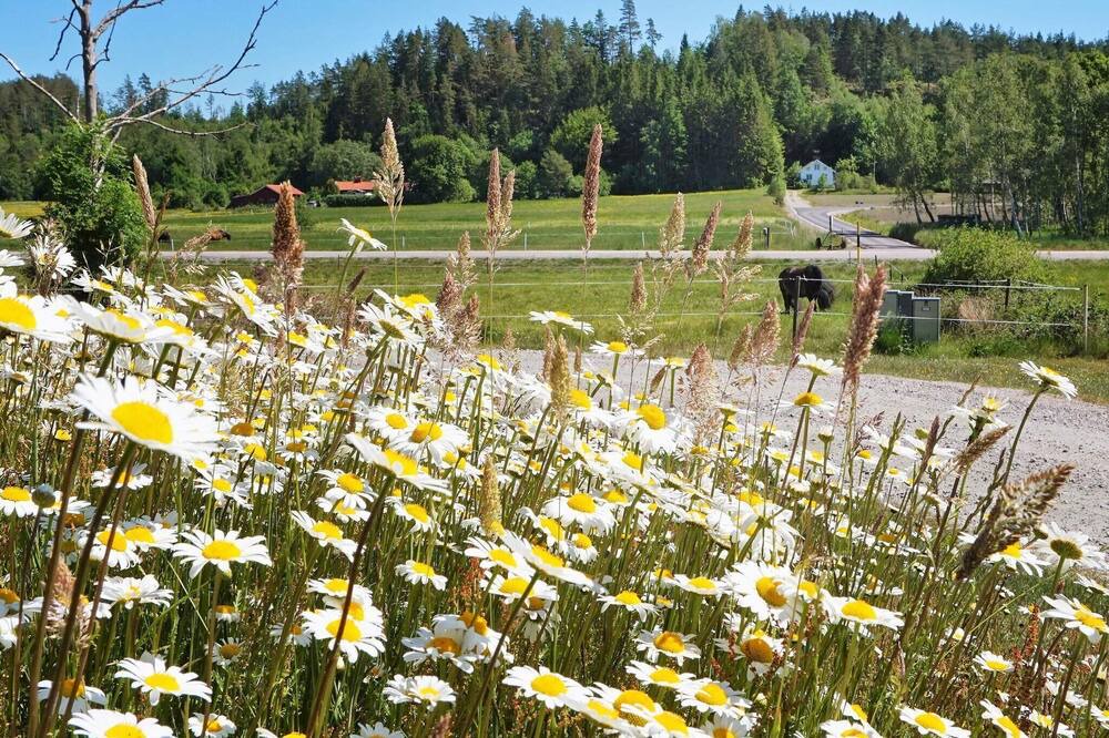 Photo of Outdoor in Stenungsund Municipality