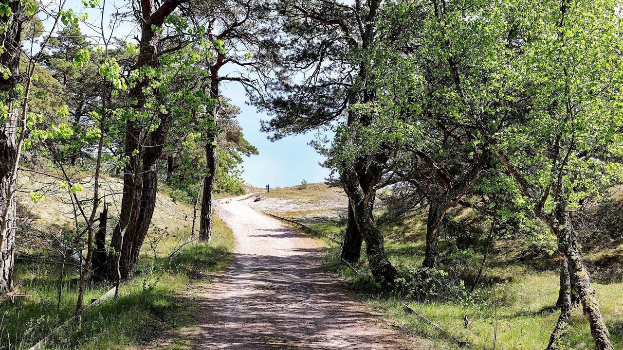 Photo of Outdoor in Yngsjo