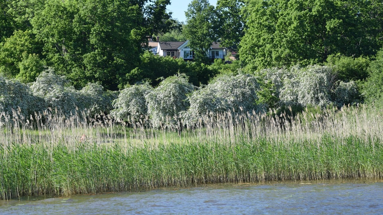 Photo of Others in Skokloster