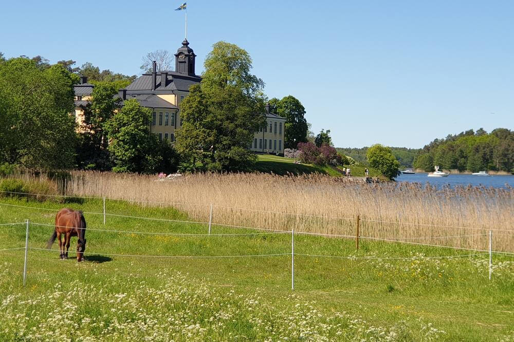 Photo of Others in Solna