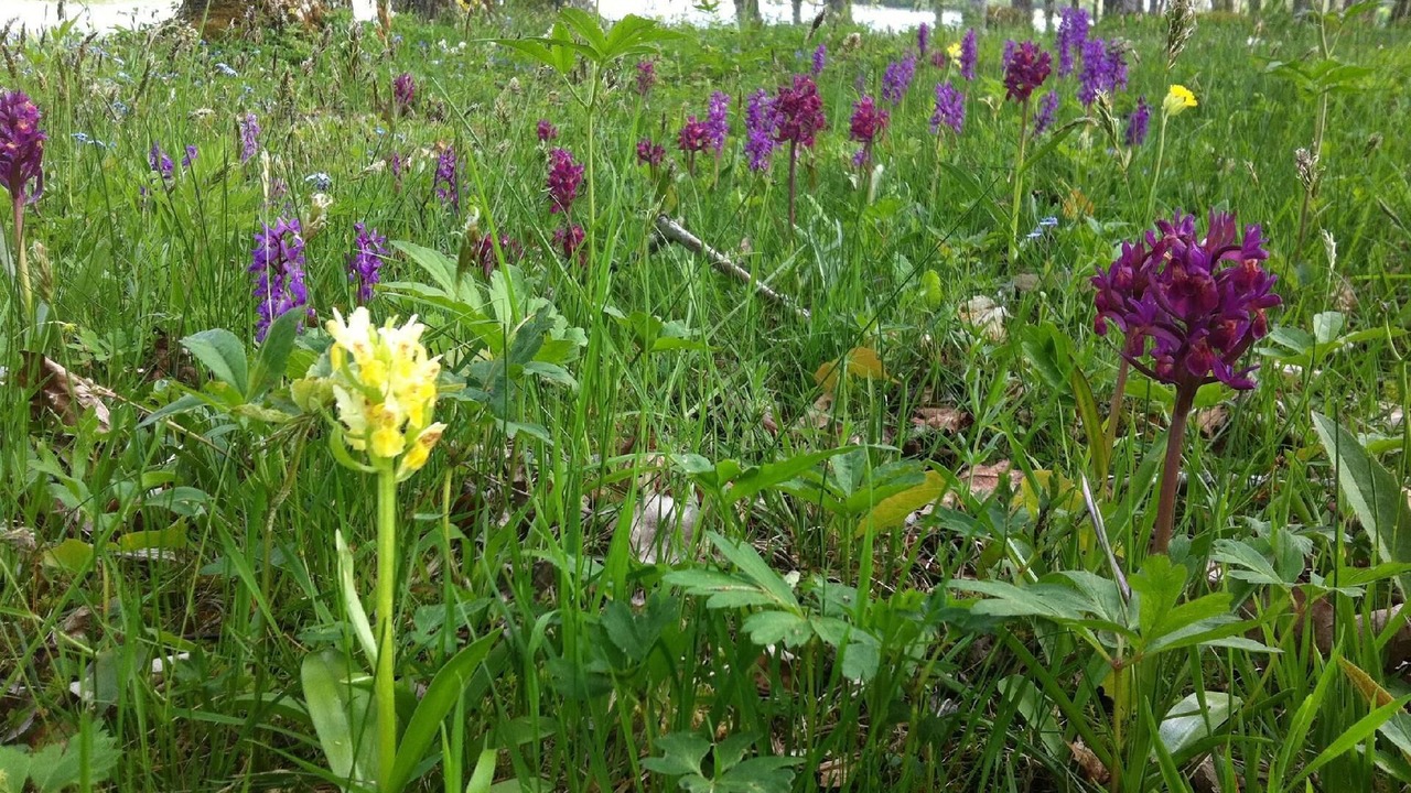Photo of Outdoor in Sodersvik