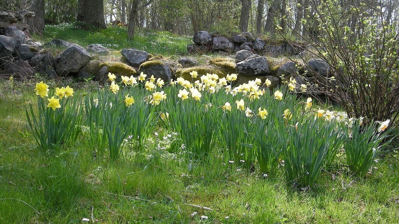 Photo of Outdoor in Sodersvik
