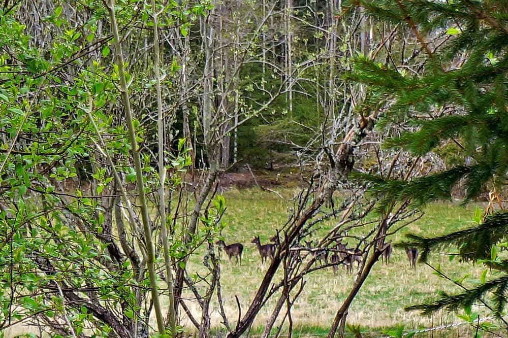 Photo of Outdoor in Trollhattan Municipality