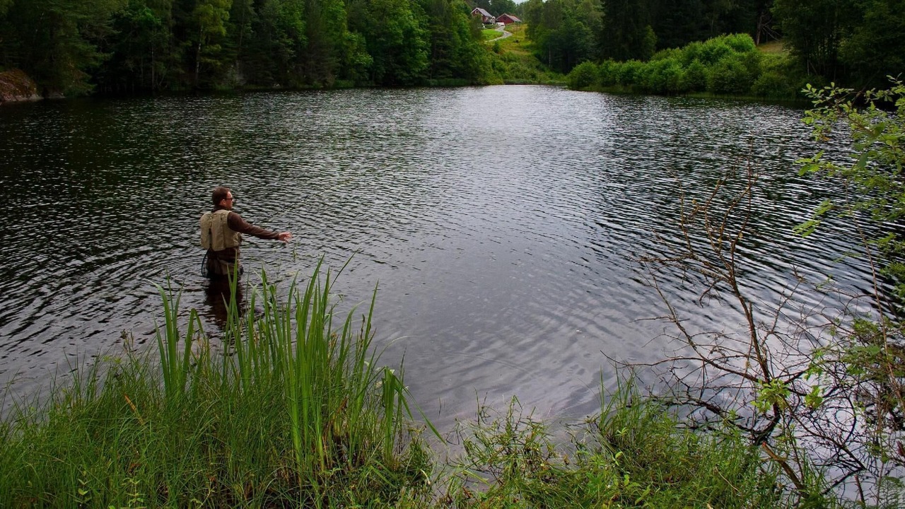 Photo of Outdoor in Alingsas