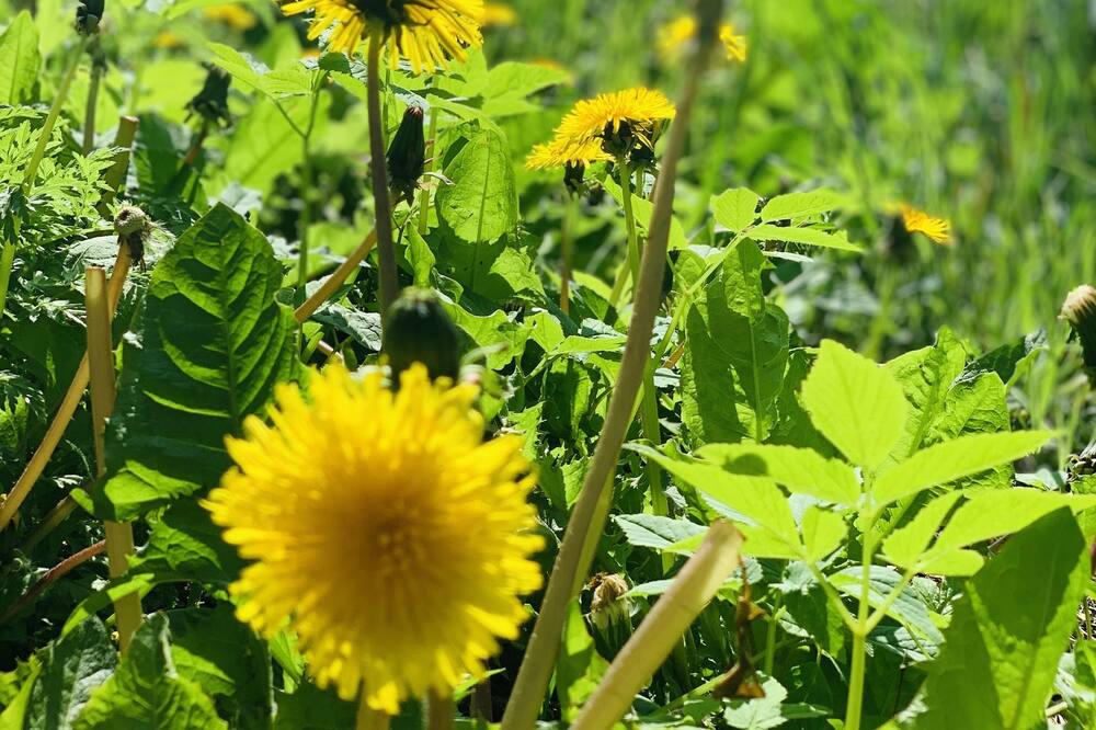 Photo of Outdoor in Falkenberg