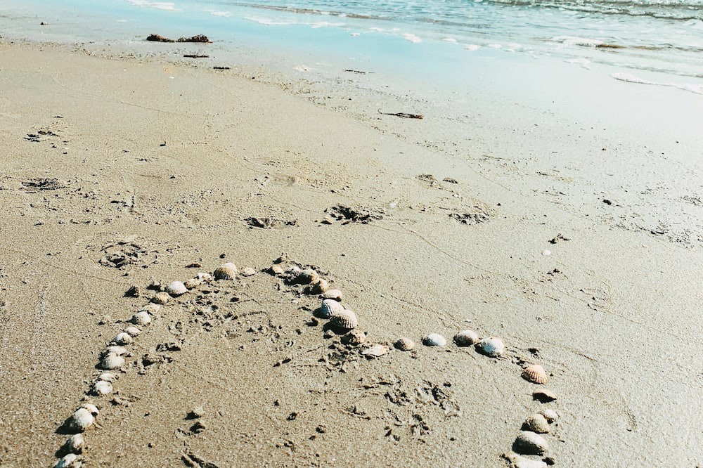 Photo of Others in Falkenberg