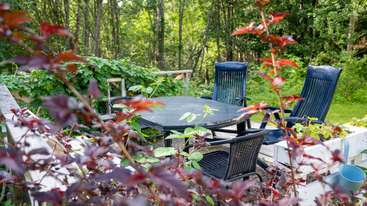 Photo of Outdoor in Odskolt