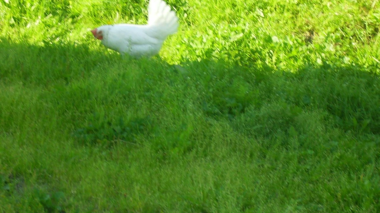 Photo of Outdoor in Talje