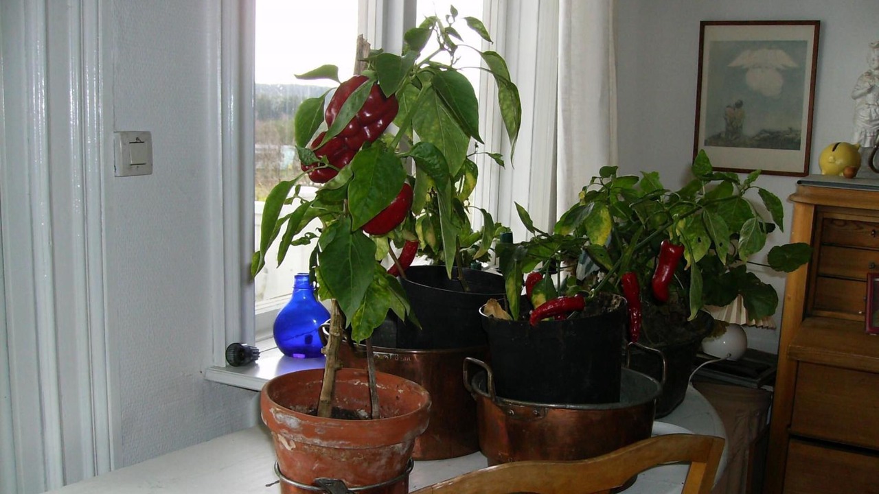 Photo of Others in Talje