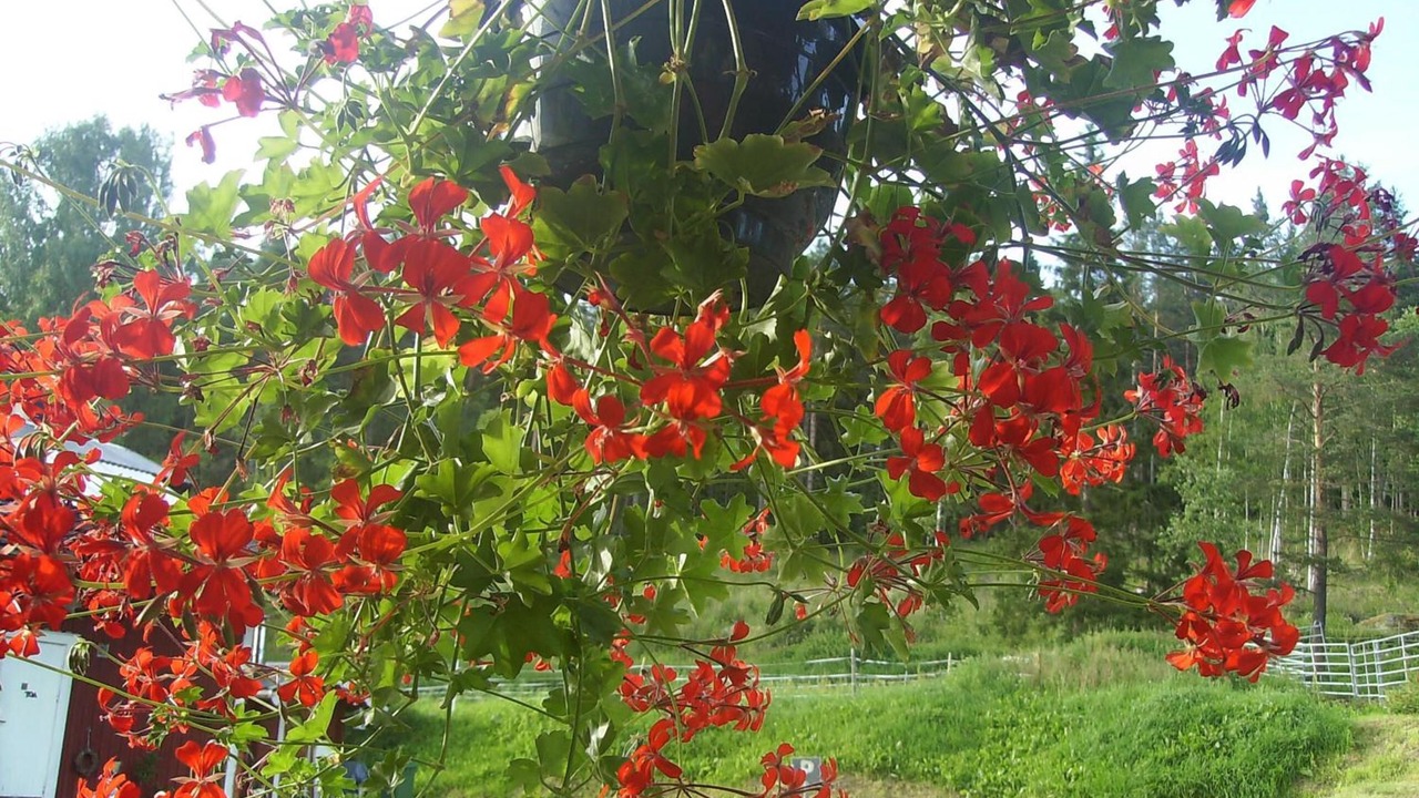 Photo of Outdoor in Talje