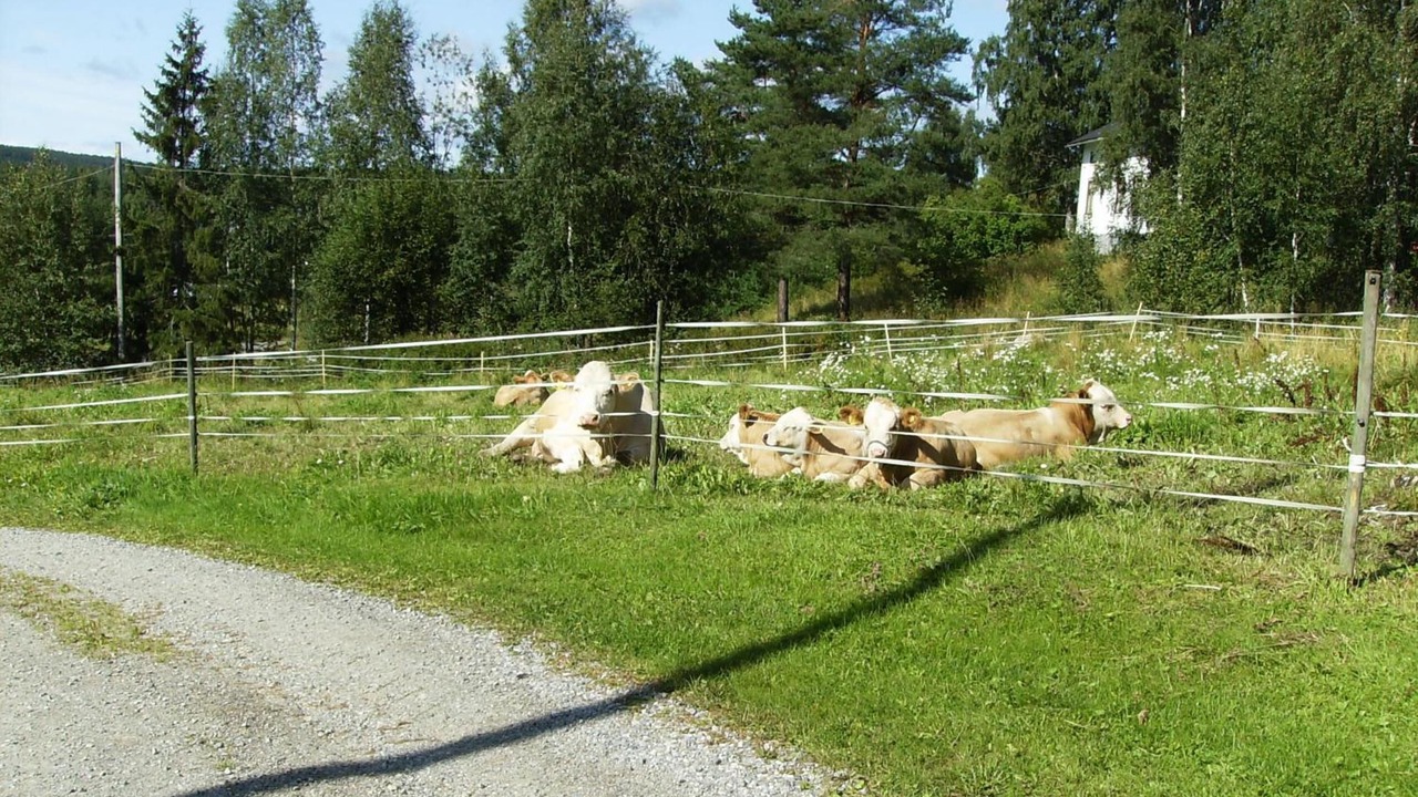 Photo of Outdoor in Talje
