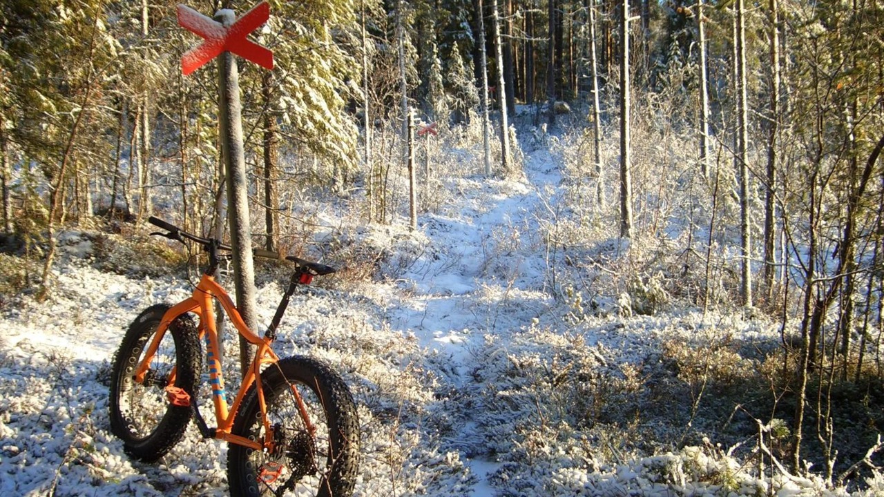 Photo of Others in Sorsele
