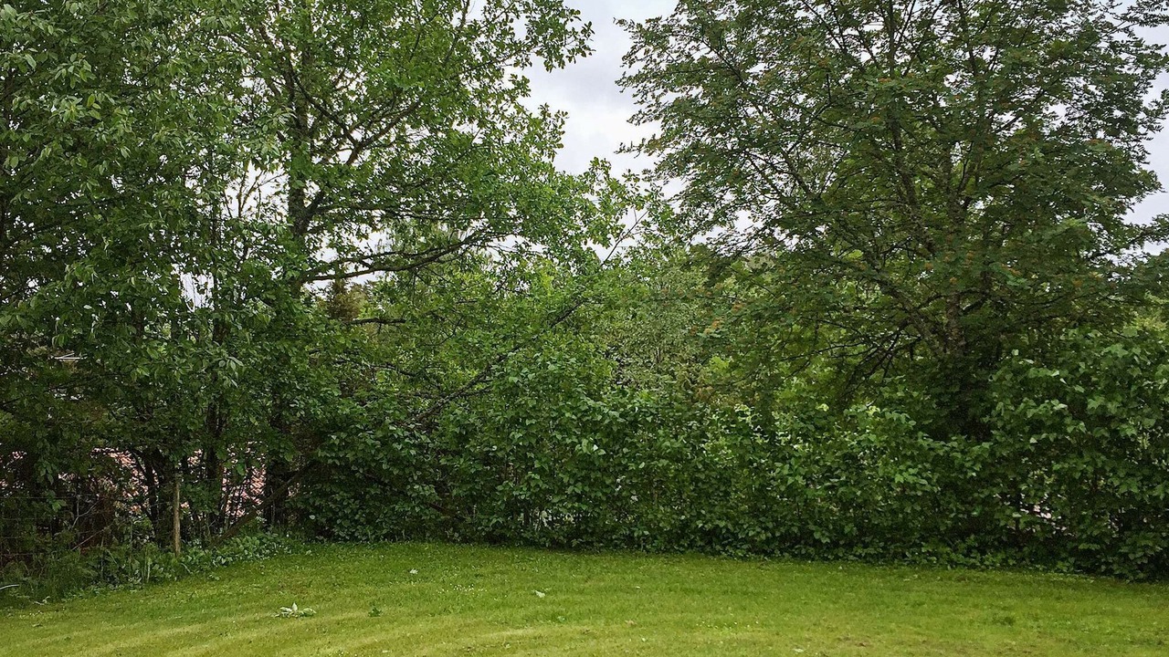 Photo of Outdoor in Granna