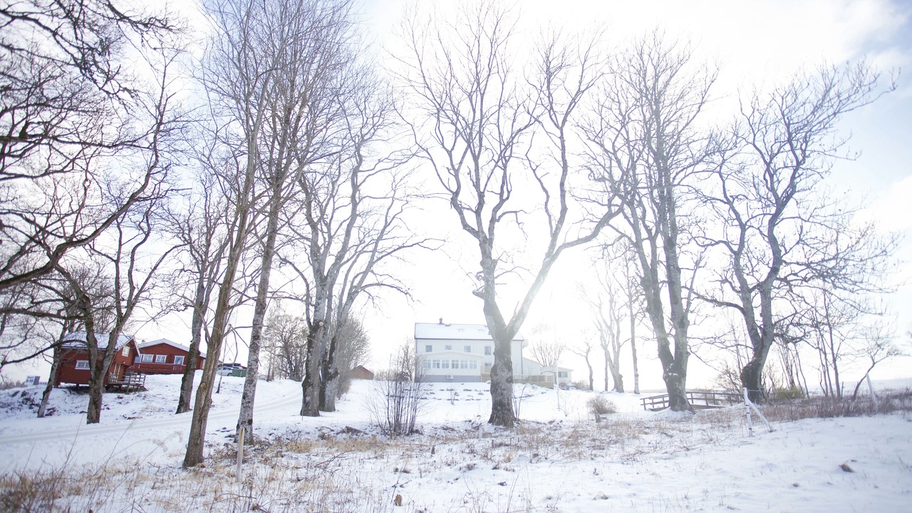 Photo of Outdoor in Tosse