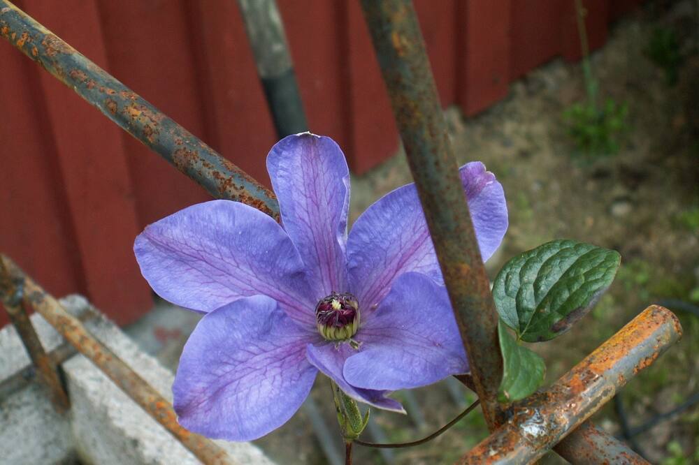 Photo of Outdoor in Dalaro