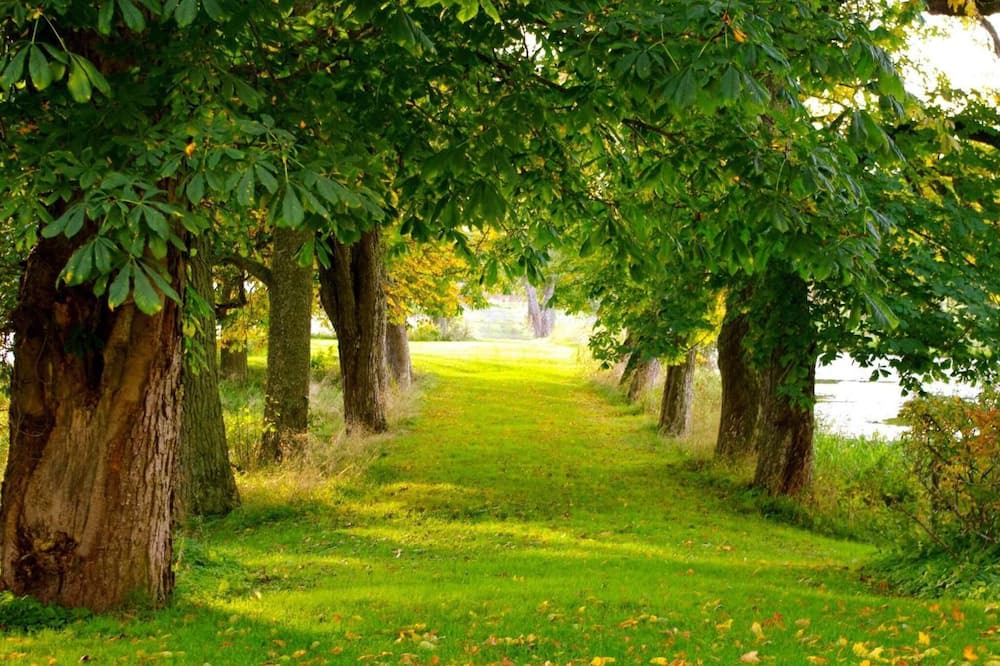 Photo of Outdoor in Mariestad