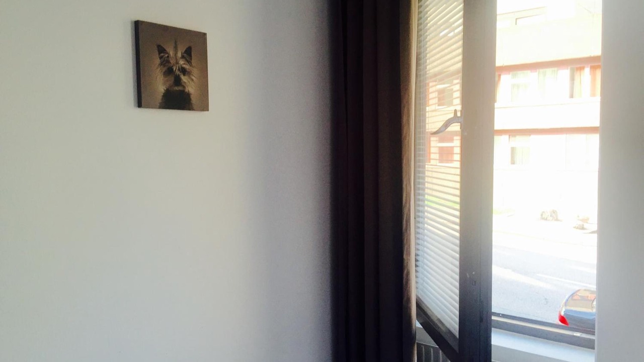 Photo of Others in Olivedal