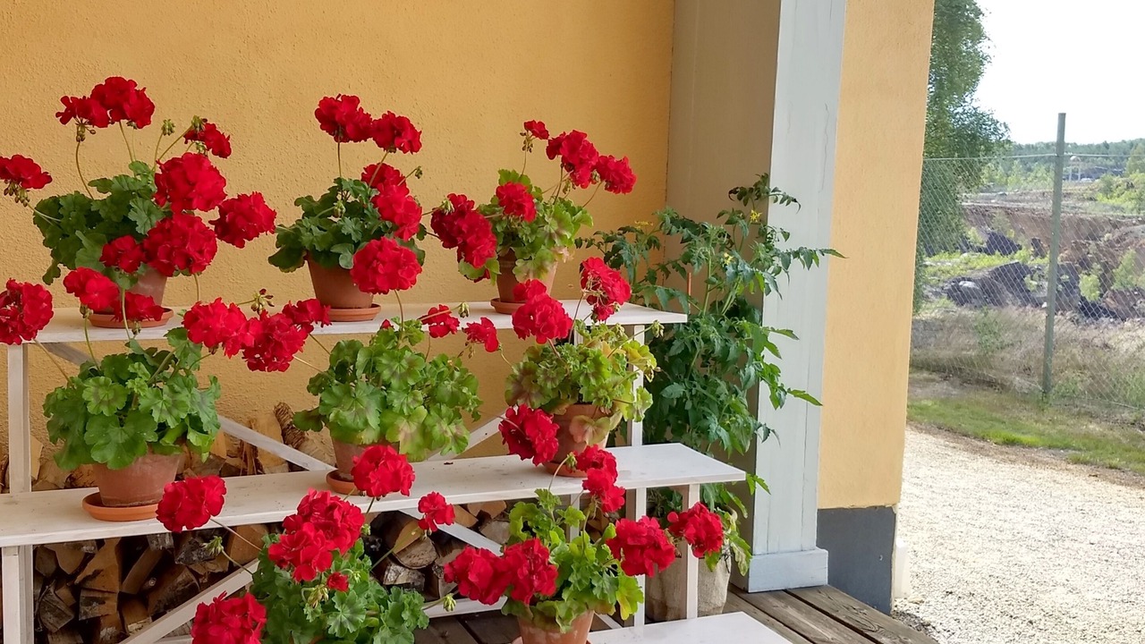 Photo of Outdoor in Falun