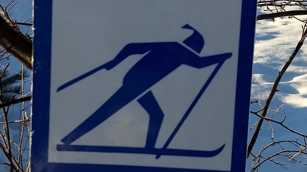 Photo of Others in Falun