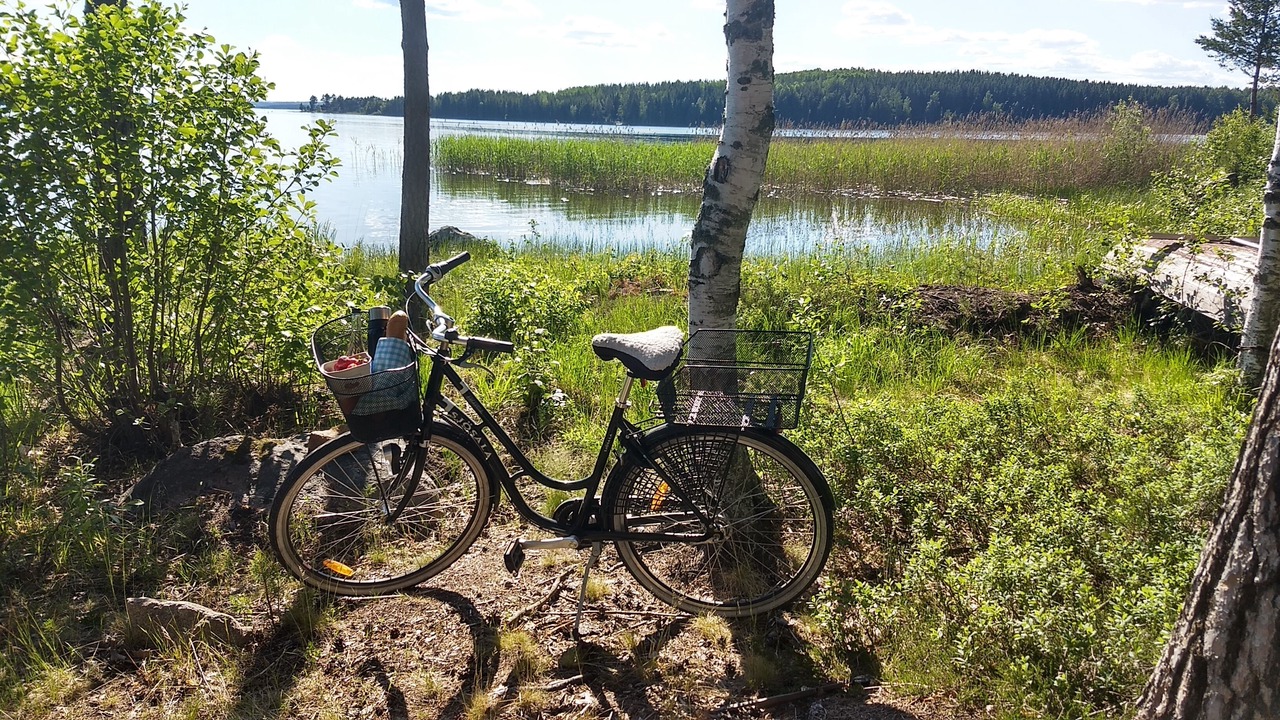 Photo of Others in Falun