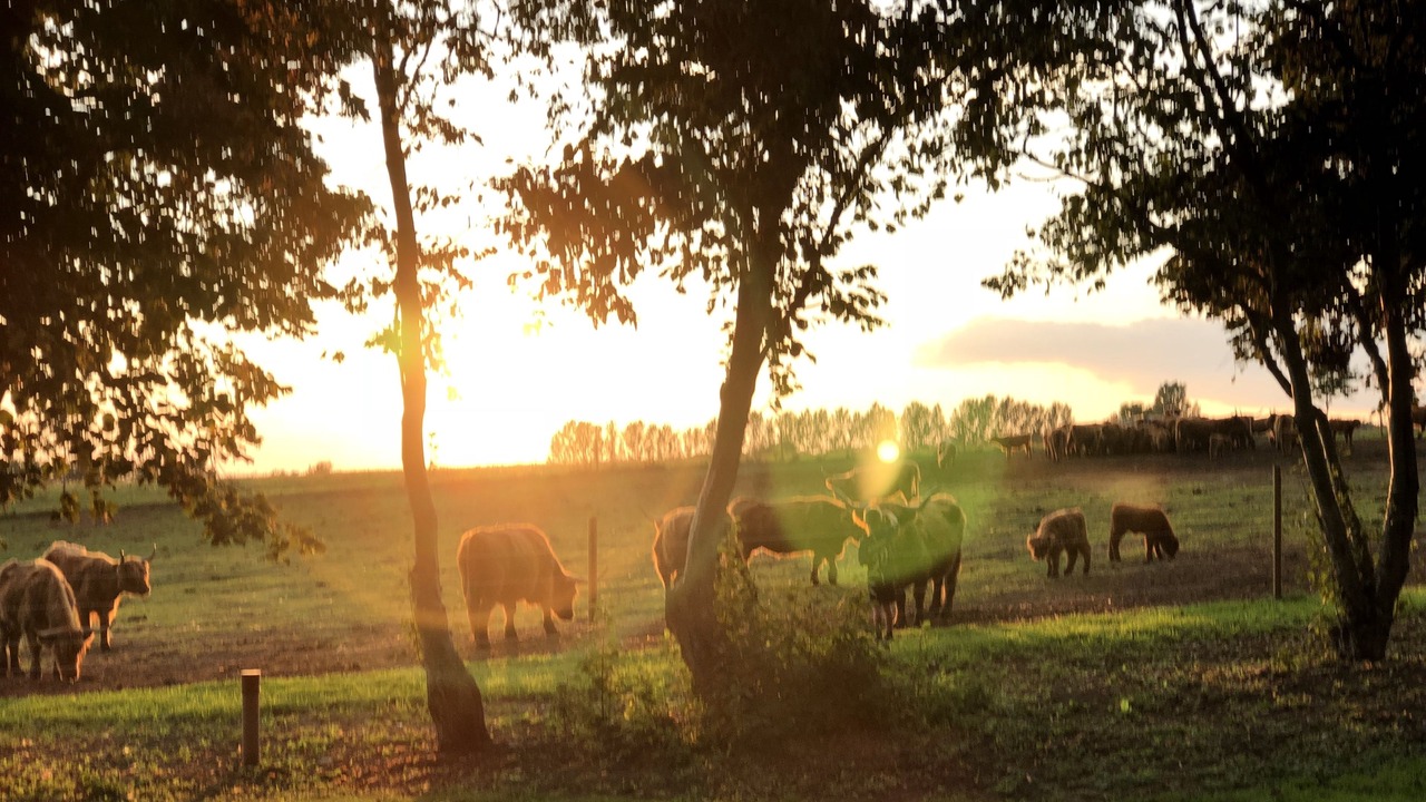 Photo of Outdoor in Sjobo