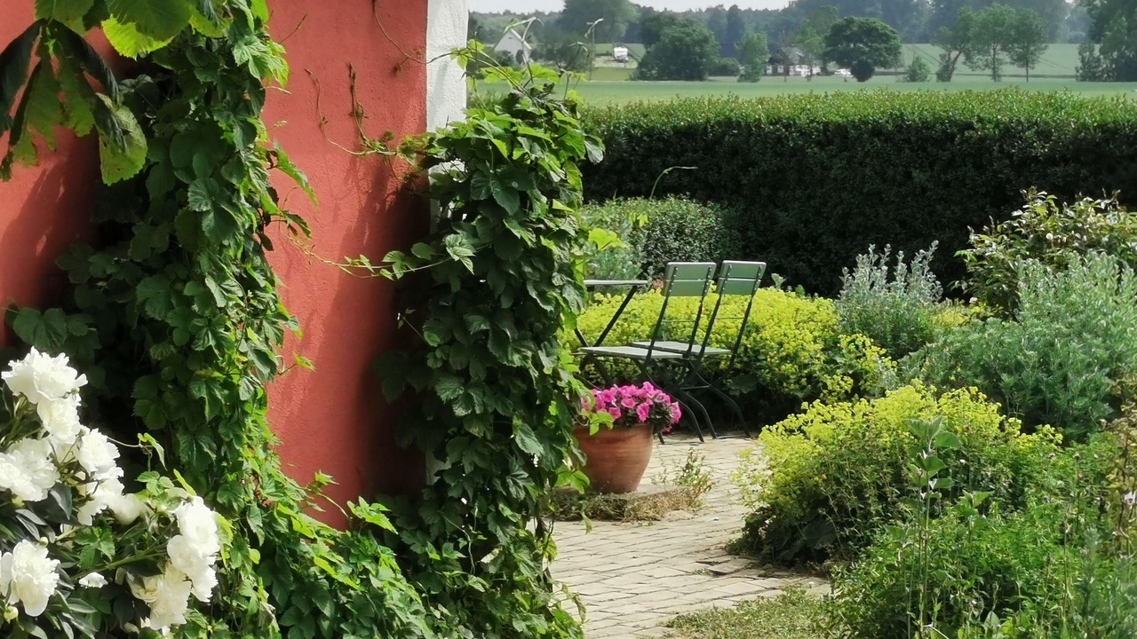 Photo of Outdoor in Borrby