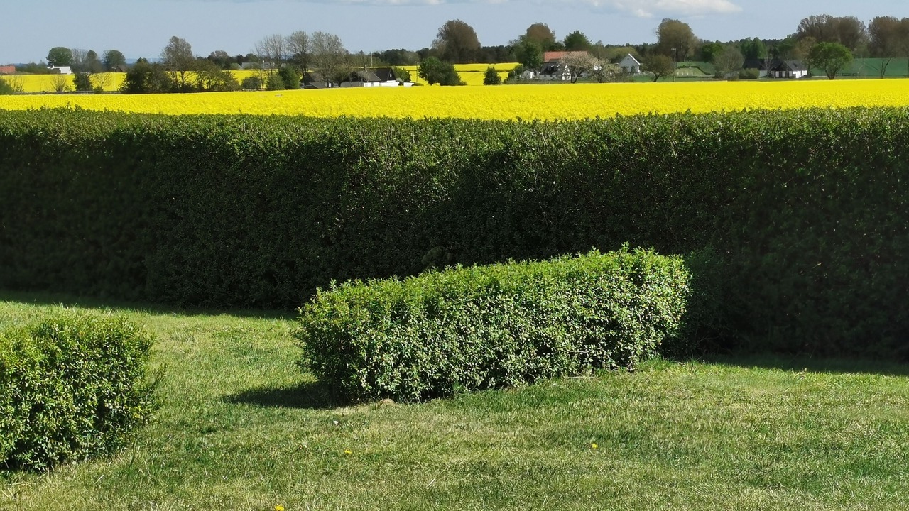 Photo of Outdoor in Borrby