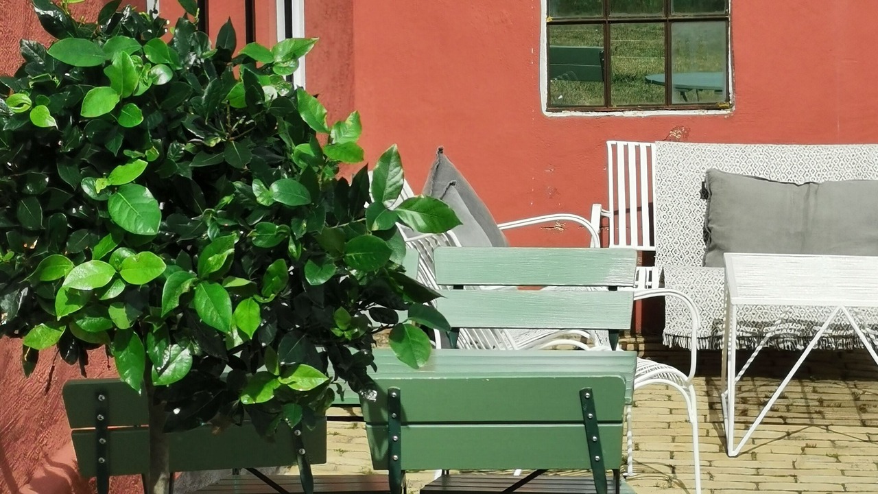 Photo of Outdoor in Borrby