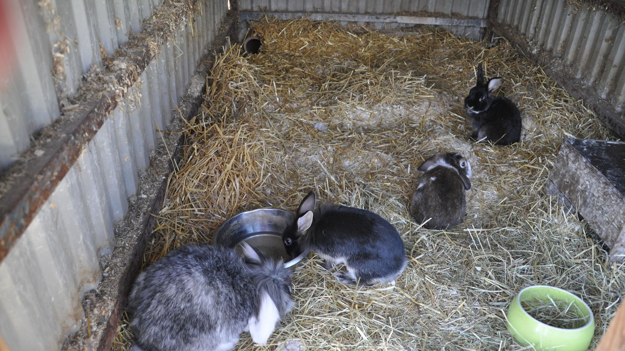 Photo of Others in Vreta Kloster