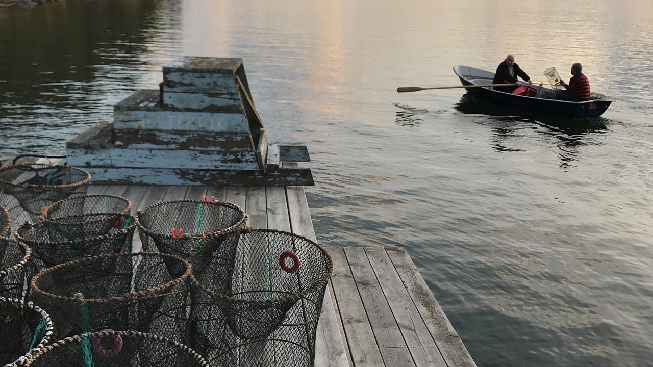 Photo of Outdoor in Hammar