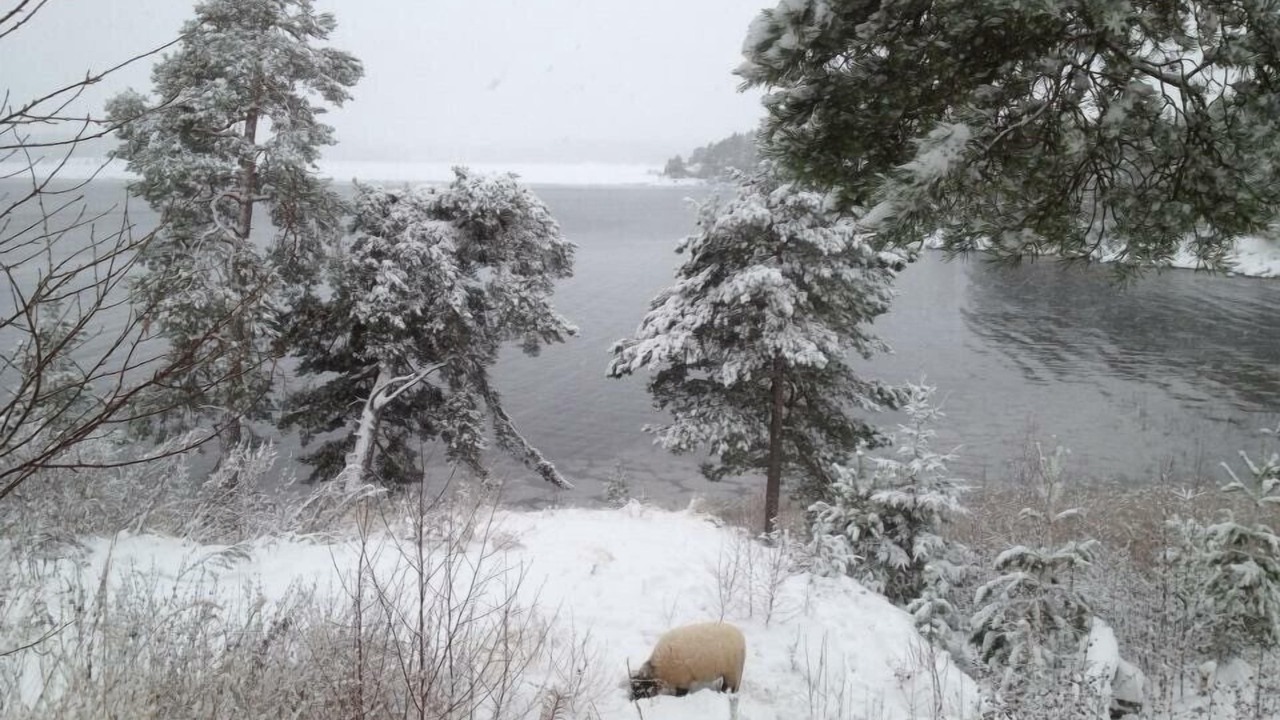 Photo of Outdoor in Hammar