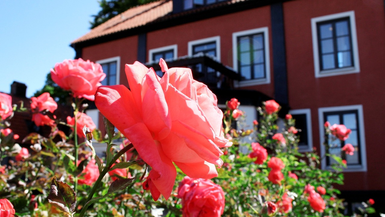 Photo of Outdoor in Kalmar