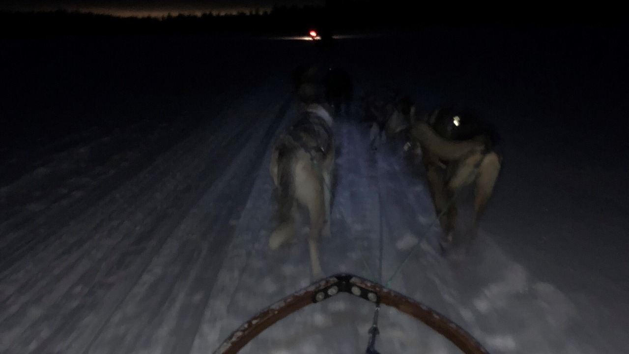 Photo of Others in Kiruna
