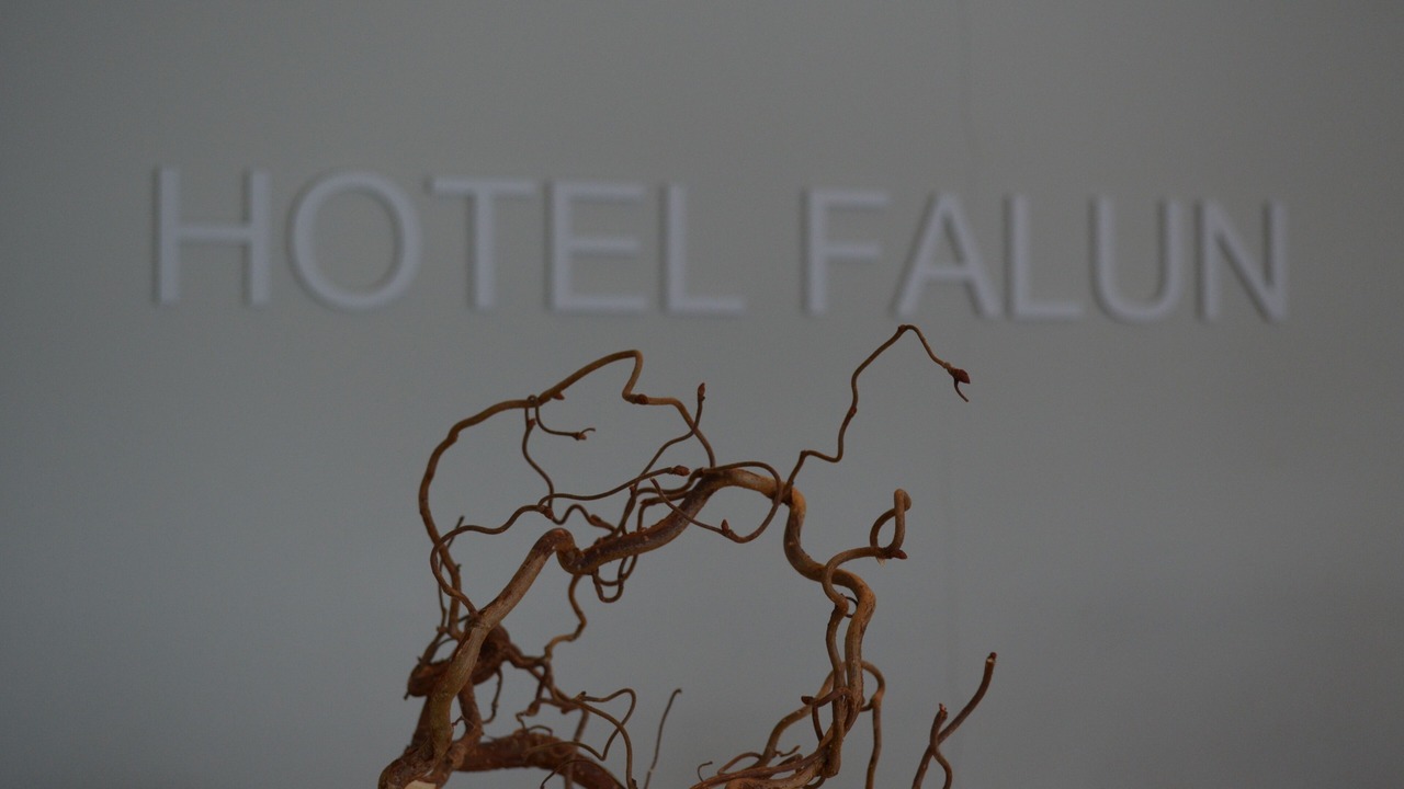 Photo of Others in Falun